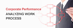 Analyzing Work Process